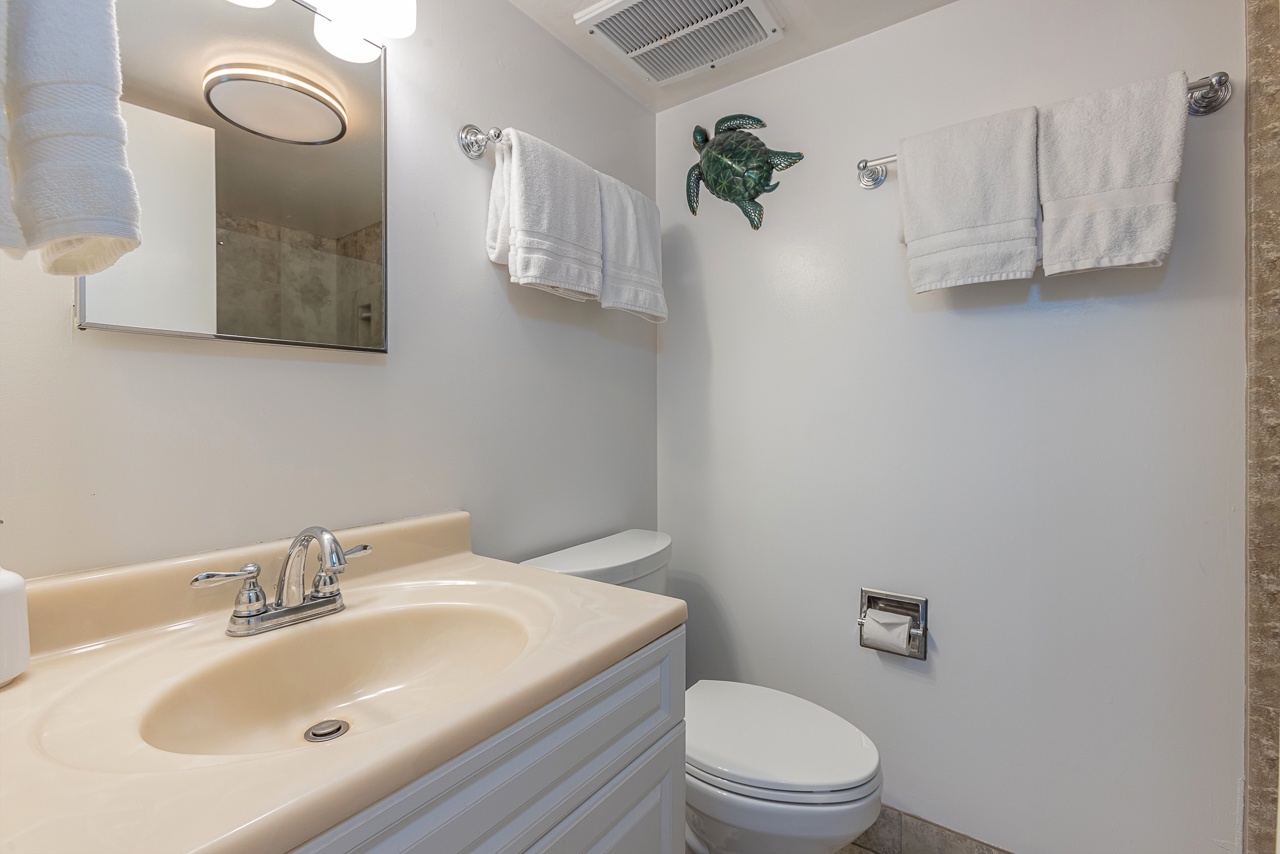 Simple modern guest bath with soothing natural tones