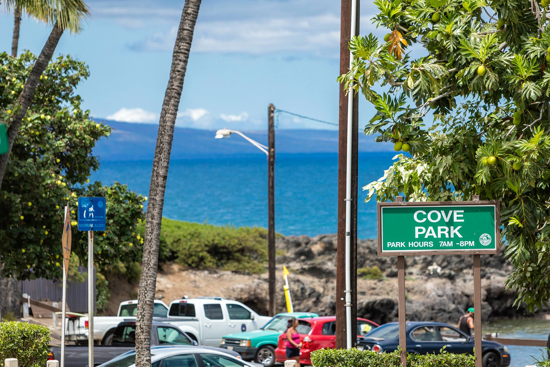 Cove beach park is known for beginner waves and chill vibes