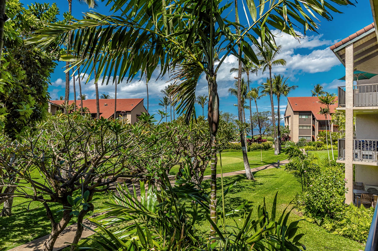 Views from your lanai with peeks of sunset.