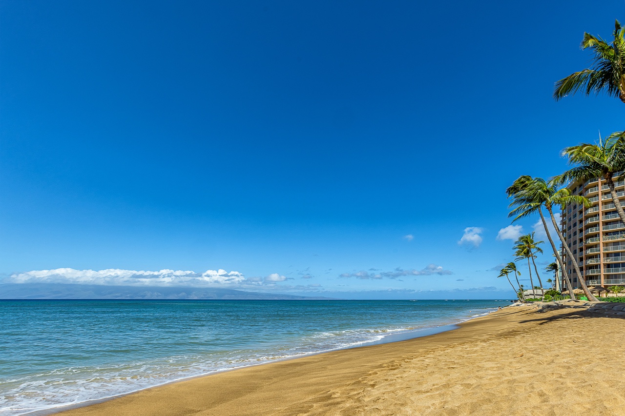 A pristine golden sand beach stretches along calm turquoise waters, framed by swaying palm trees beneath a brilliant blue sky—your slice of beachfront paradise awaits.