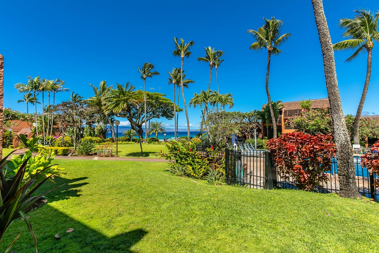 A lush tropical garden bordered by swaying palms opens to an endless expanse of brilliant blue ocean beyond—an idyllic slice of island paradise.