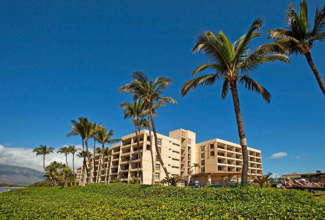 Iconic palm-lined pathways and ocean breezes throughout