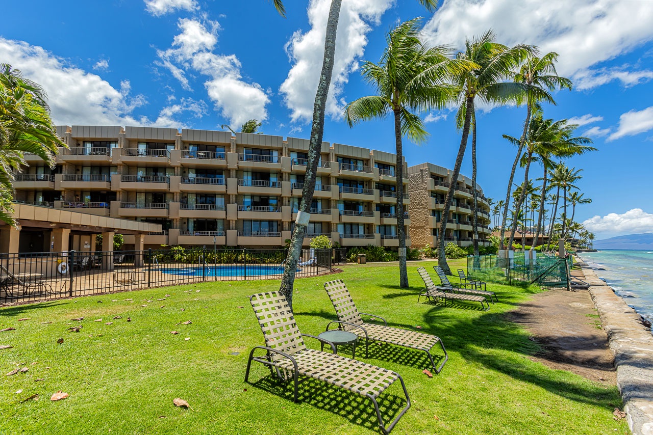 Oceanfront property set beneath swaying palms, with lounge chairs on the lawn facing calm turquoise waters and distant mountain peaks.