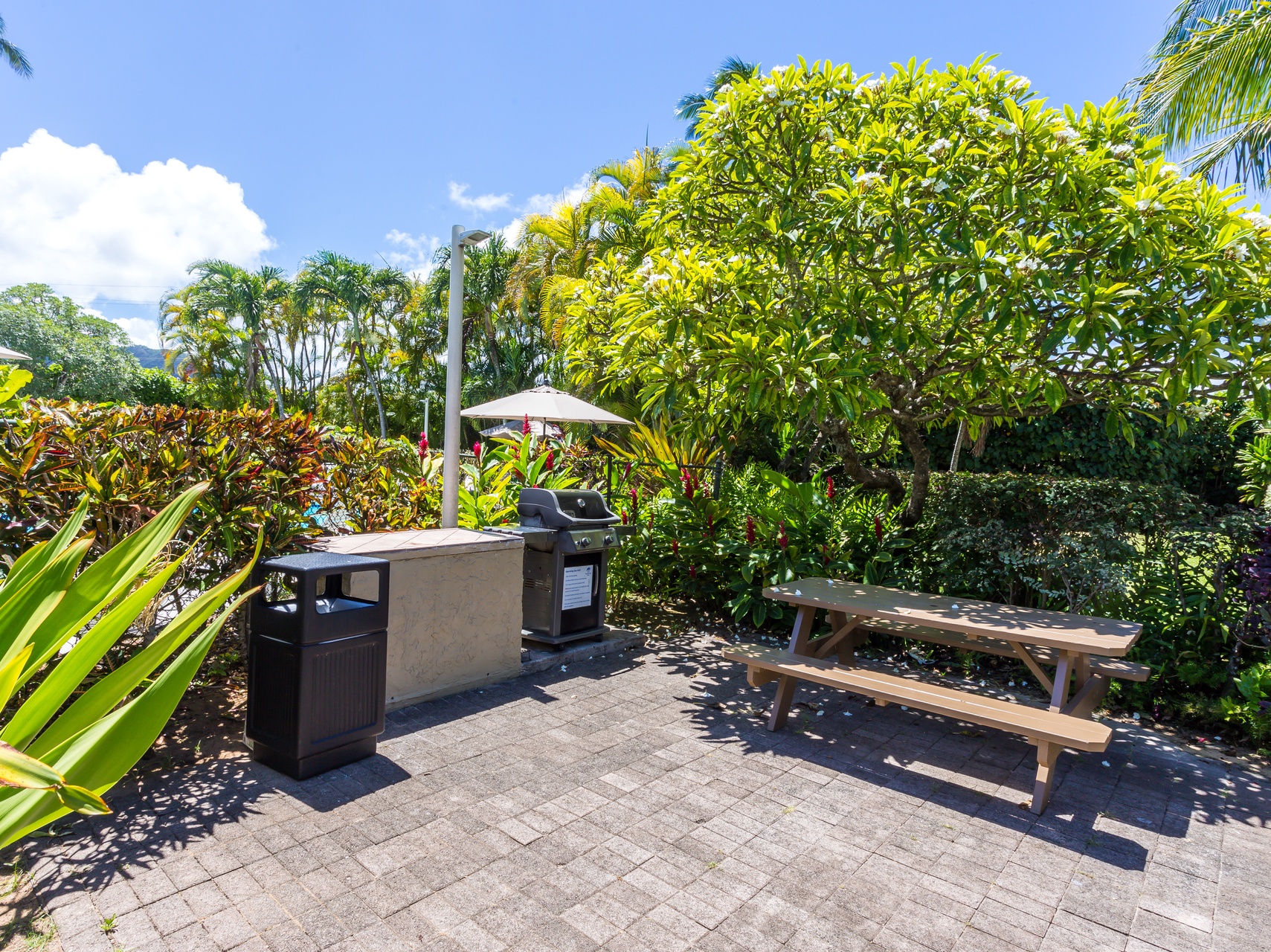 BBQ area on property.