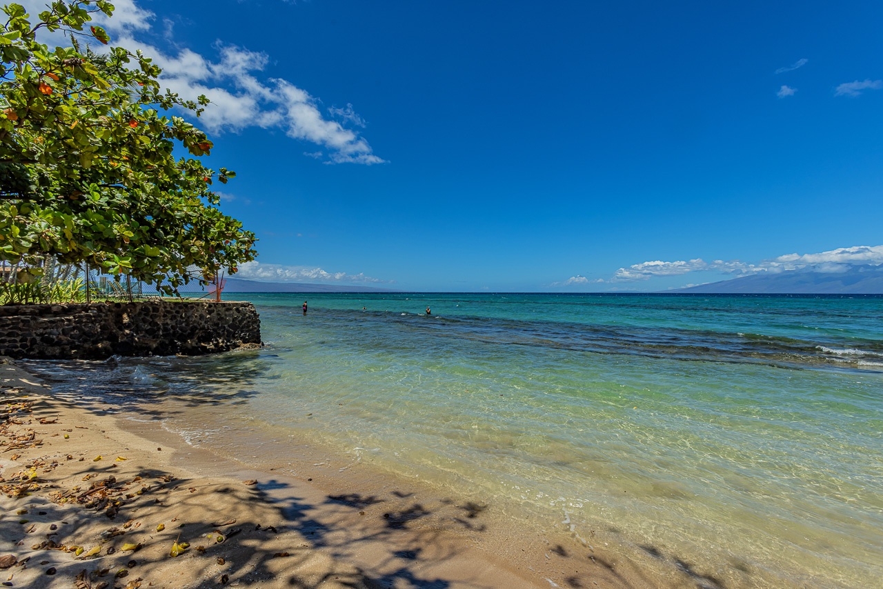 A pristine sandy beach with crystal-clear turquoise waters and lush tropical trees shading the shore under a perfect blue sky.