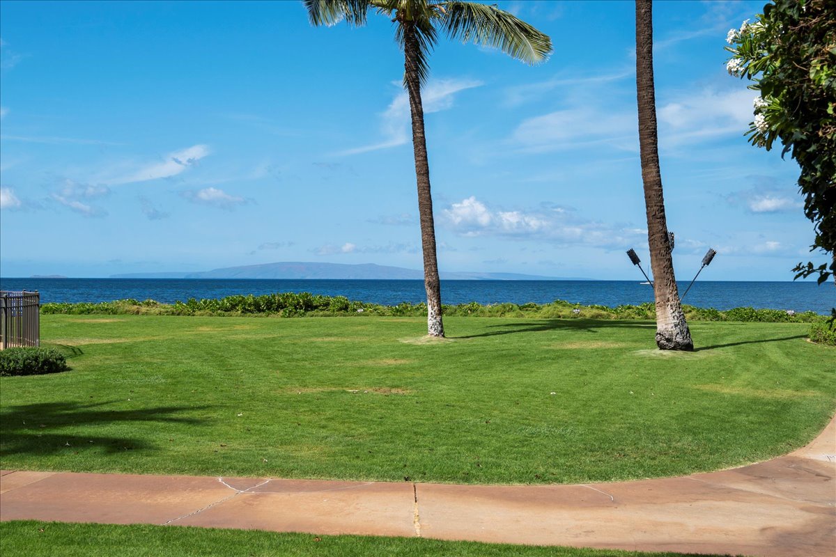 Lush Green Space Just Outside Your Door.