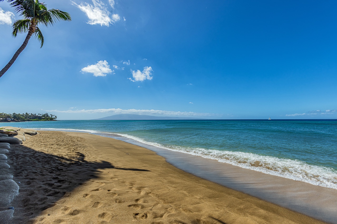 This pristine sandy beach stretches along the property's coastline, with gentle waves, swaying palm trees, and mountain views visible across the turquoise water on clear, sunny days.