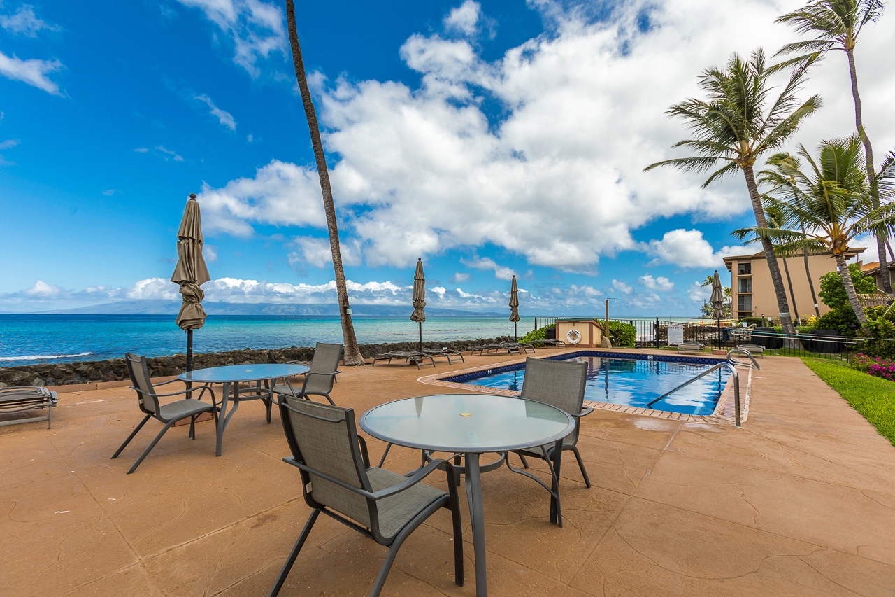 Oceanfront pool deck with palm trees, lounge chairs, and dining tables overlooking crystal-blue waters—your perfect tropical retreat awaits.