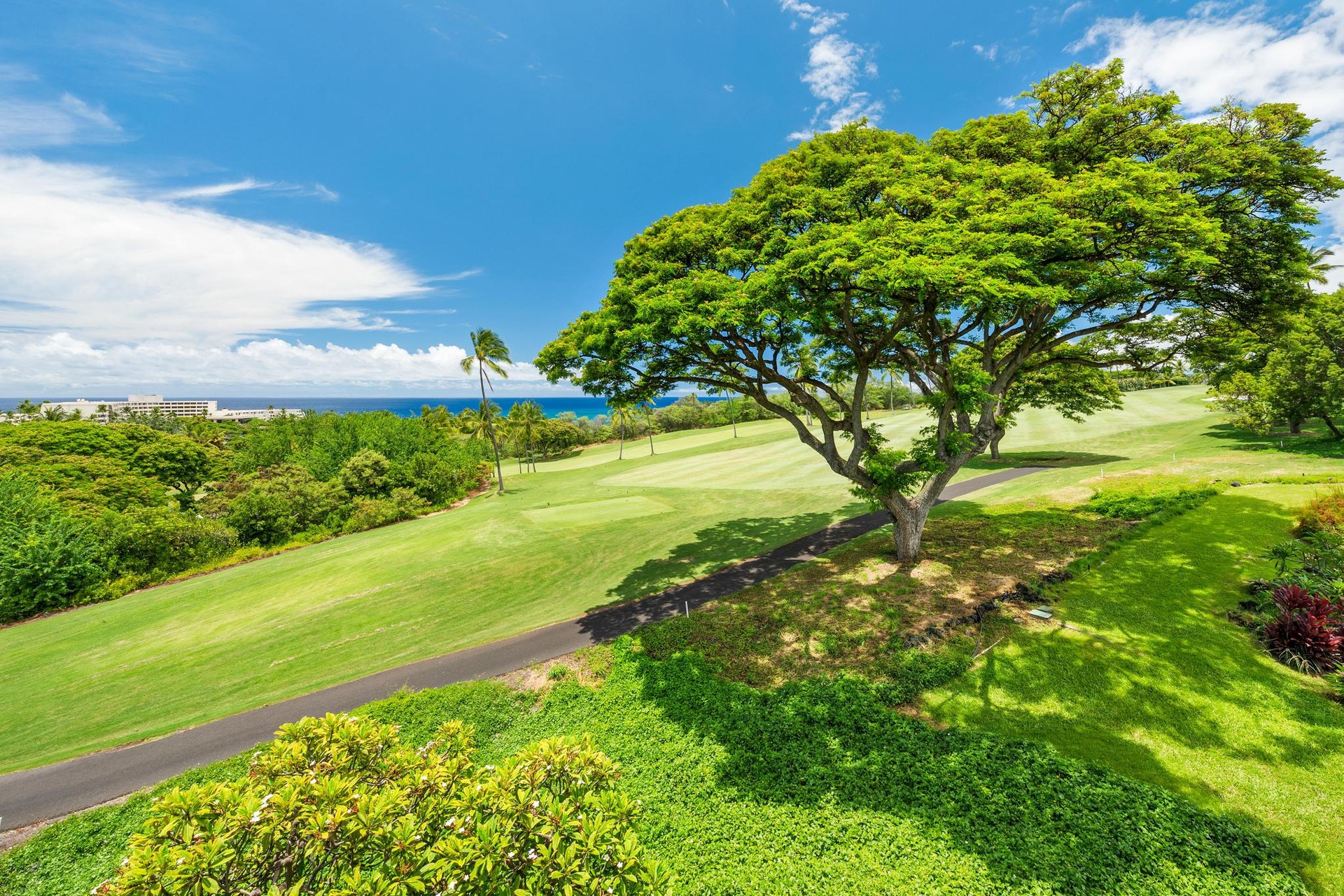 Majestic golf course fairway framed by lush tropical trees, with pristine greens stretching toward the sparkling ocean horizon.