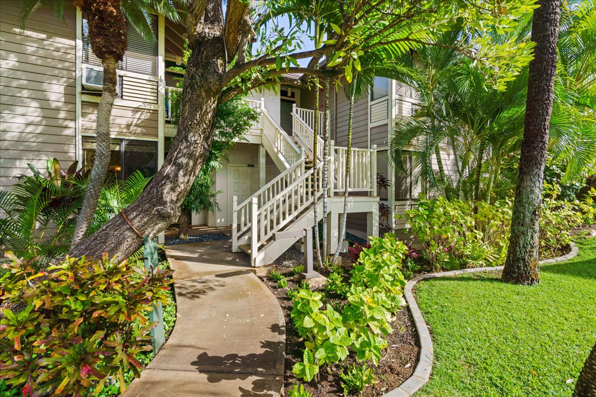 Your tropical retreat starts here