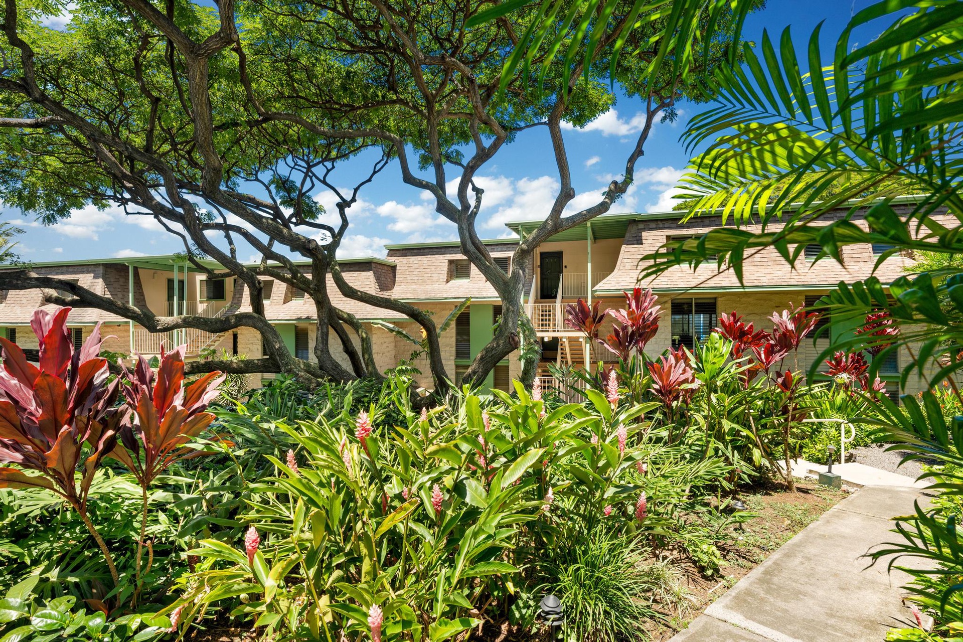 Tropical resort buildings surrounded by lush landscaping with vibrant red and green foliage under mature shade trees.