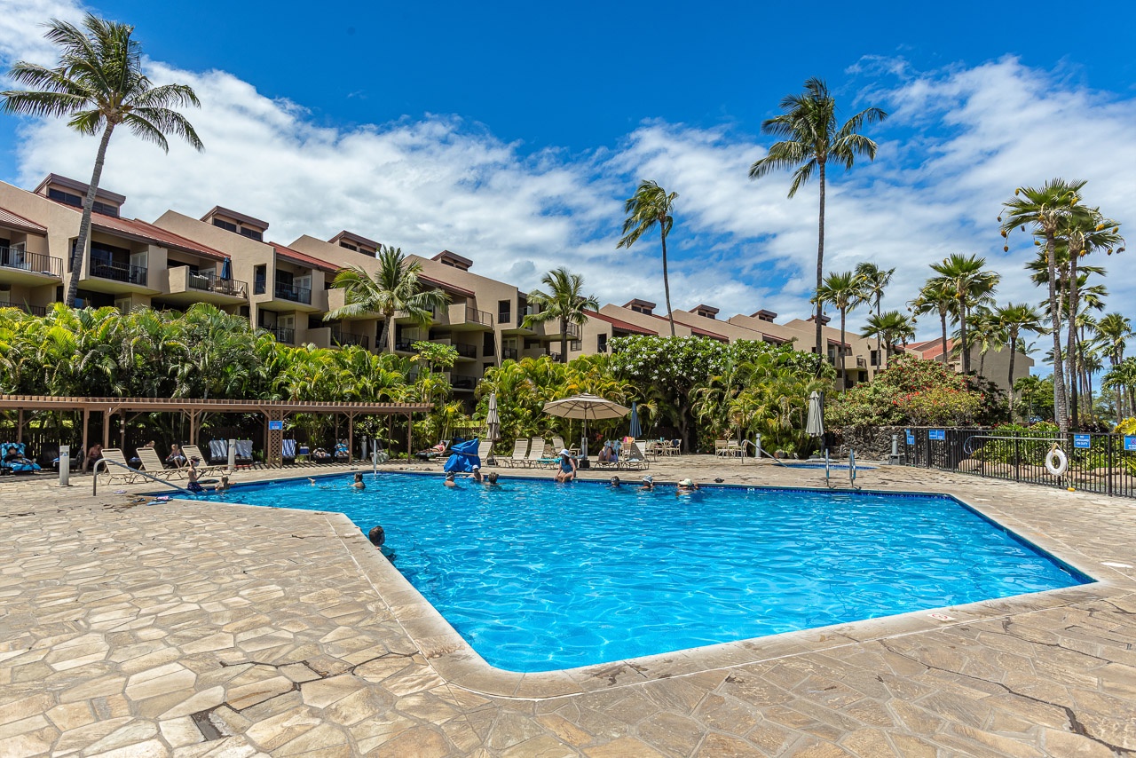 Tropical pool area framed by swaying palms and lush greenery, with multi-level accommodations providing easy access to your island oasis.