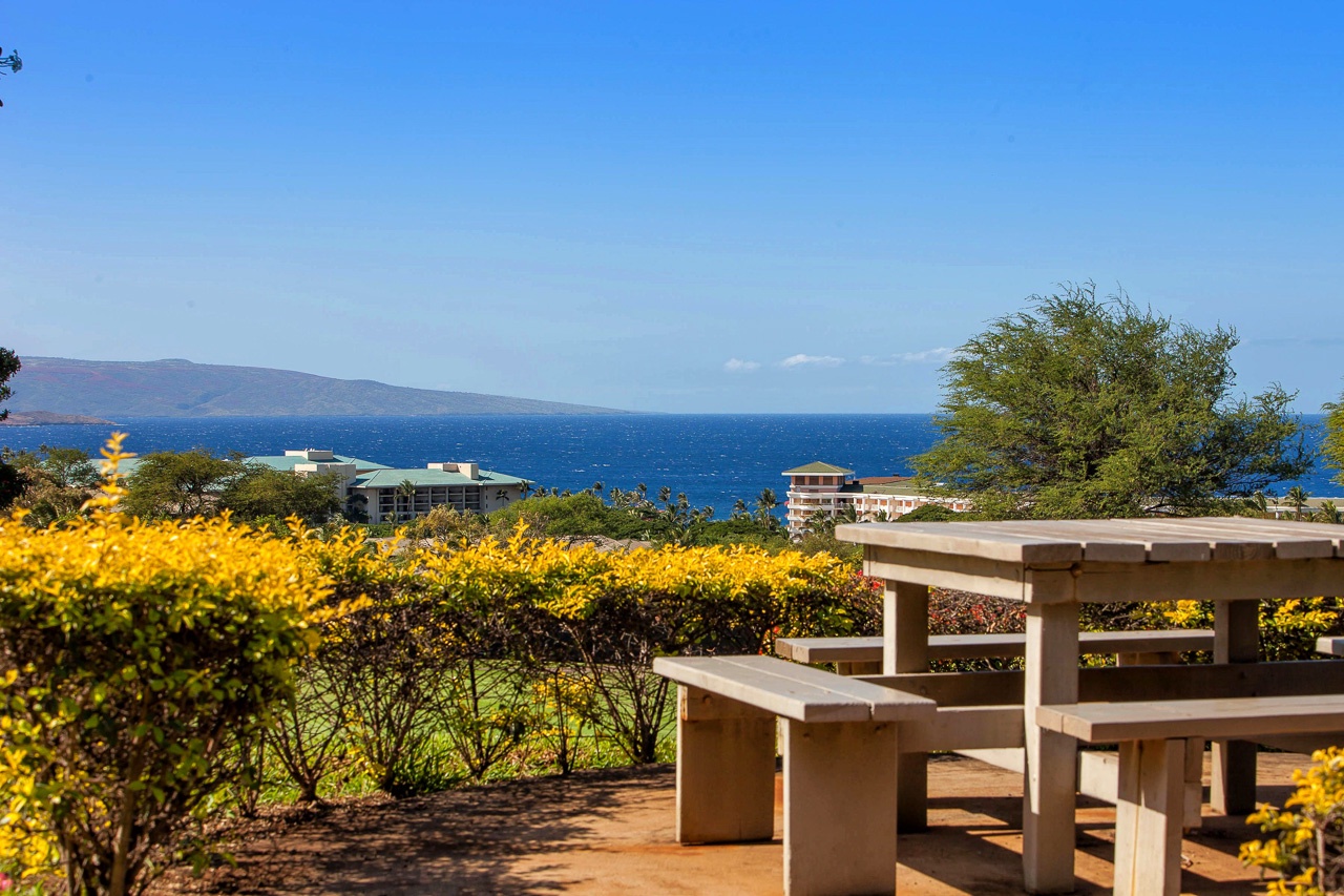 Picnic spots framed by palms and island breezes