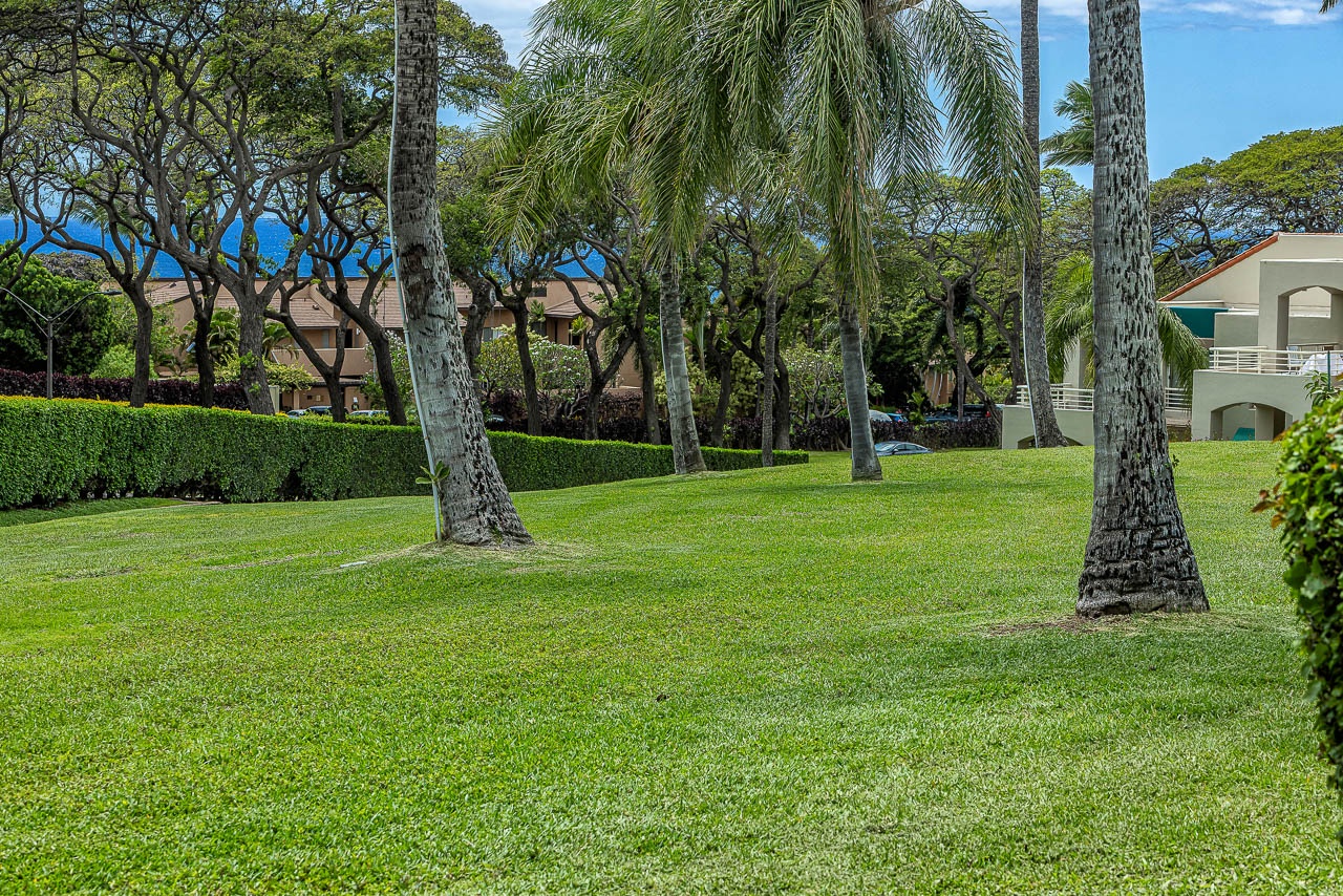 The property grounds feature vibrant tropical landscaping with towering palms, manicured lawns, and mature trees creating a lush island oasis.