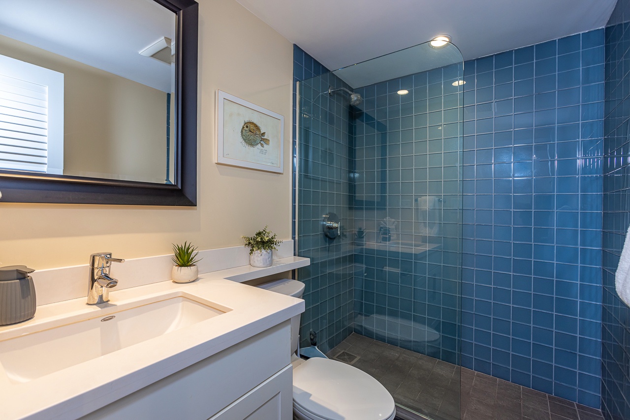 Guest bathroom with walk-in shower