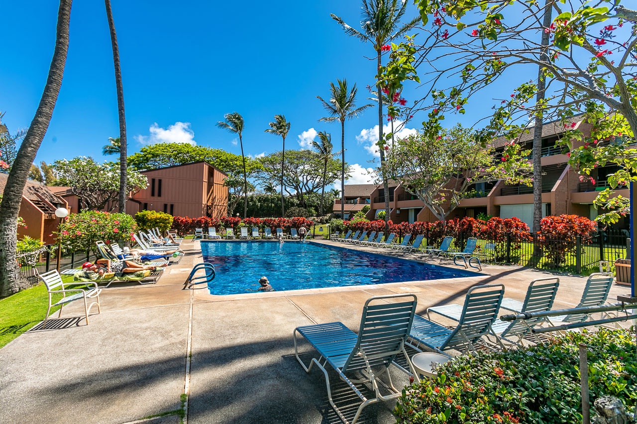 Dive into crystal-clear waters surrounded by swaying palms, vibrant blooms, and manicured lawns—your tropical escape awaits.