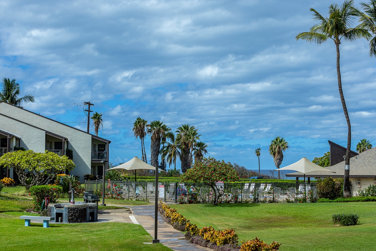 Island inspired pathways through tropical greenery