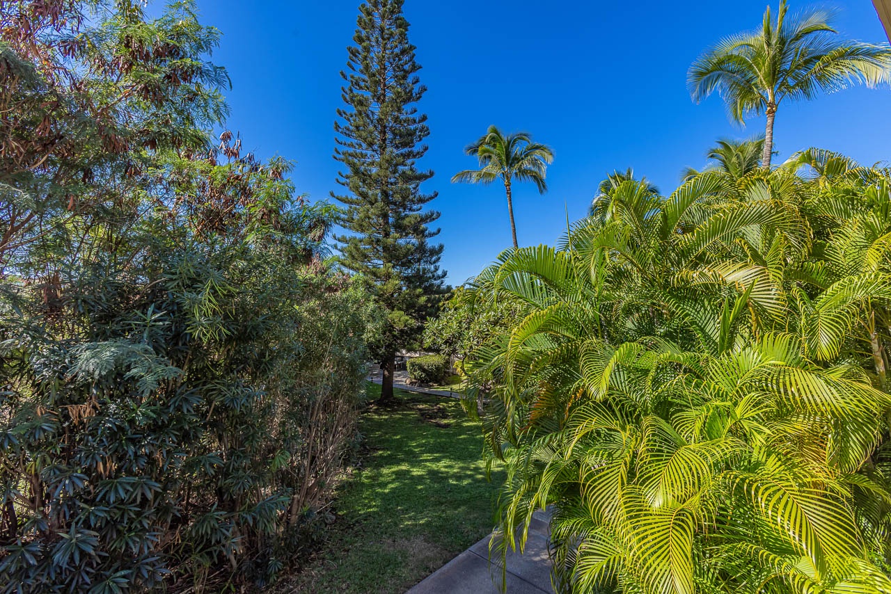 Lush tropical grounds enhance your island stay