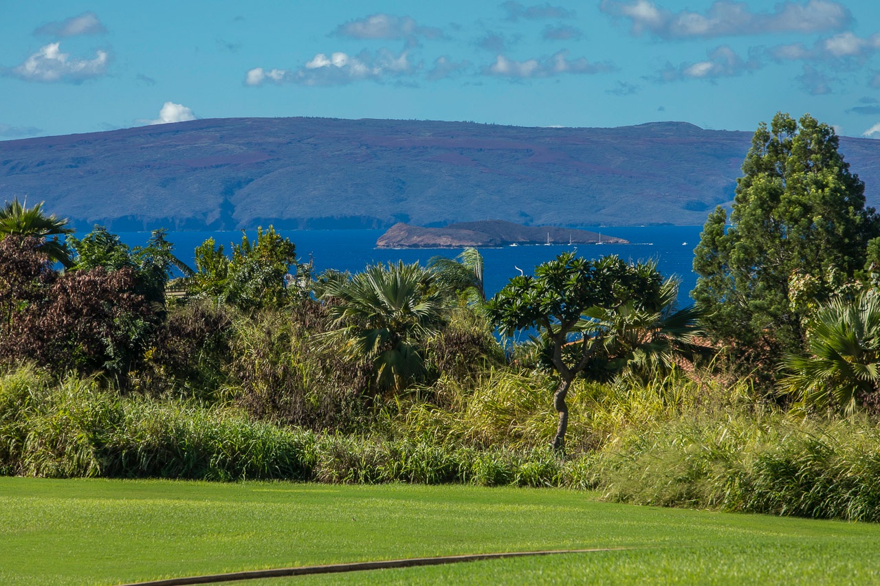Open spaces with postcard worthy ocean and crater views