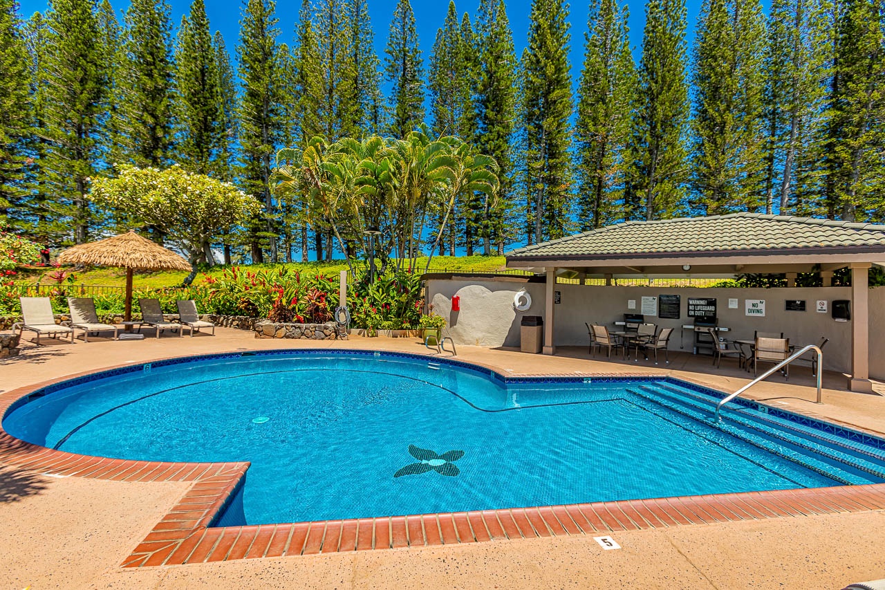 Sparkling blue pool surrounded by tropical landscaping and towering pines, with a shaded pavilion nearby for your relaxation and outdoor dining enjoyment.