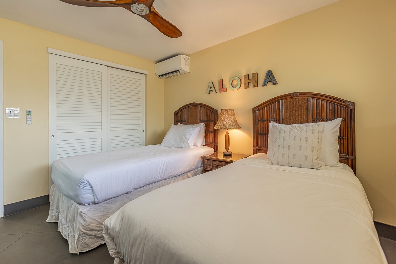 Split AC in the guest bedroom