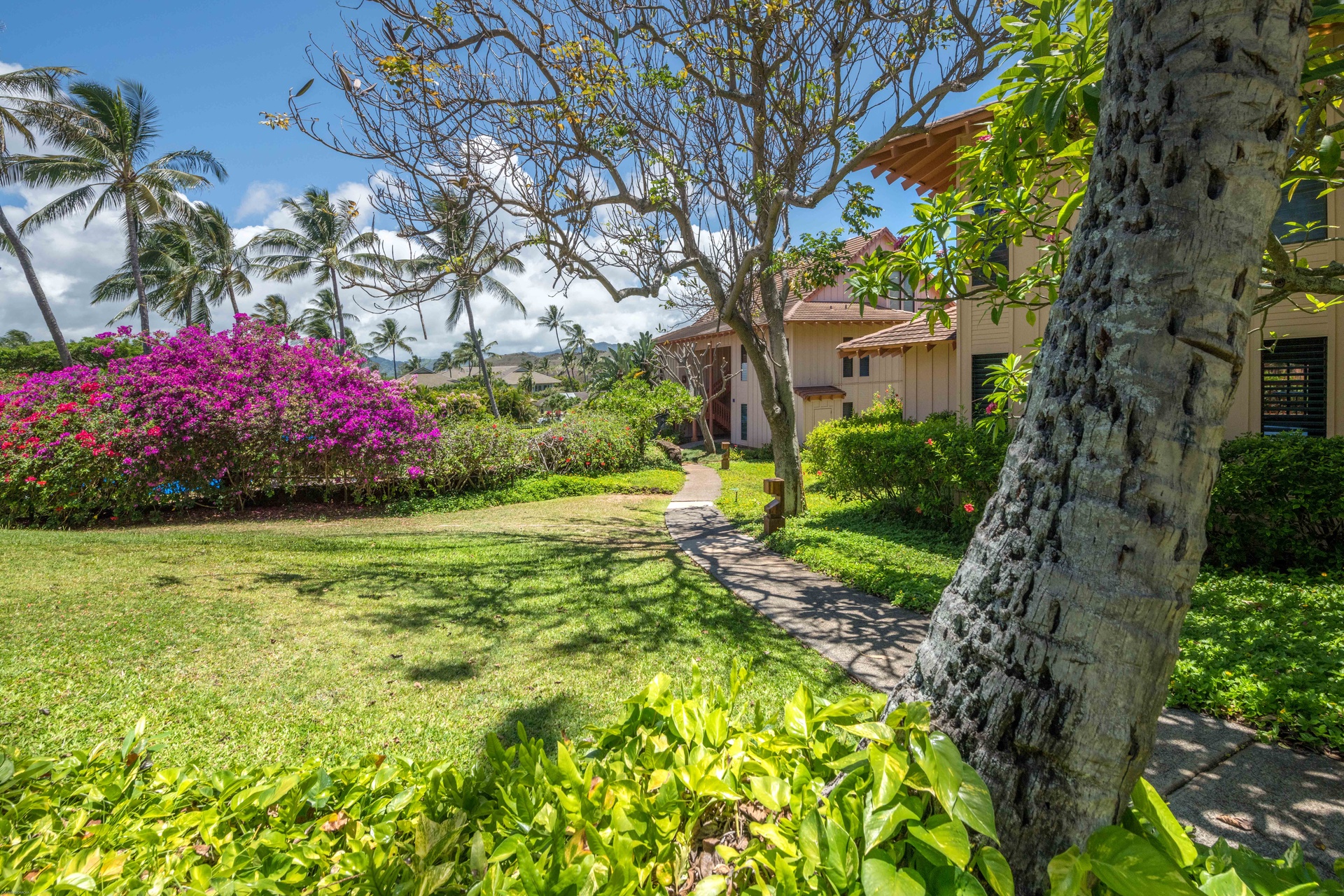 Tropical pathways leading you toward Poipu’s best beaches