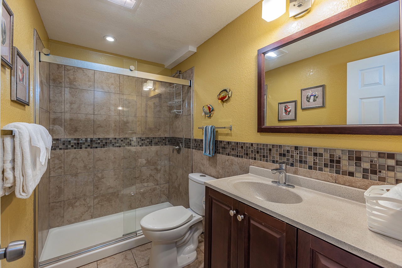 Downstairs bathroom featuring a roomy walk-in shower