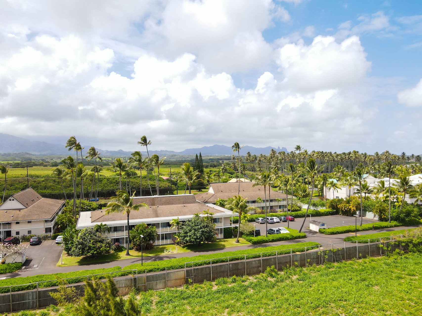 Tropical vacation complex nestled among swaying palm trees with mountain views and lush green landscapes surrounding the property.