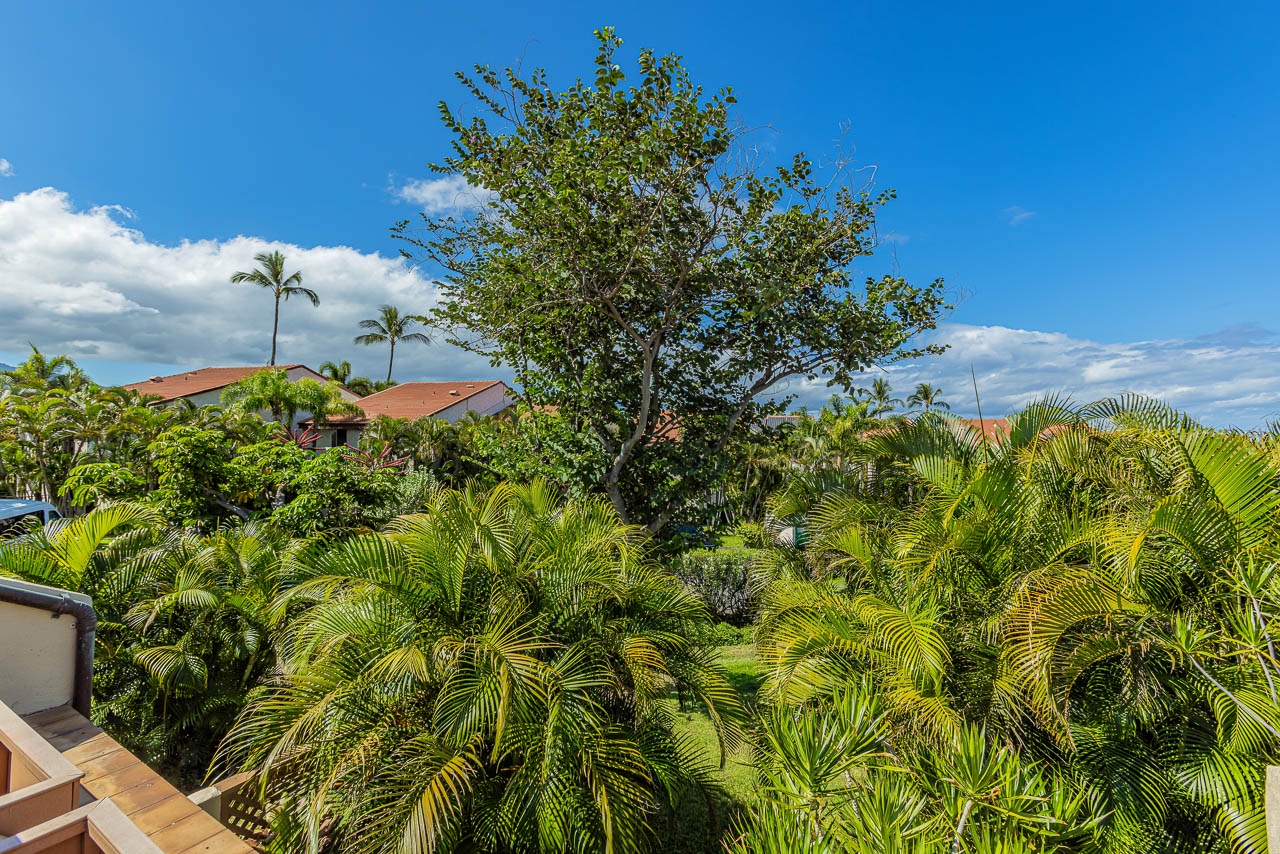 Lush tropical landscaping surrounds the property, with palms swaying beneath bright blue skies—a peaceful backdrop to your island getaway.