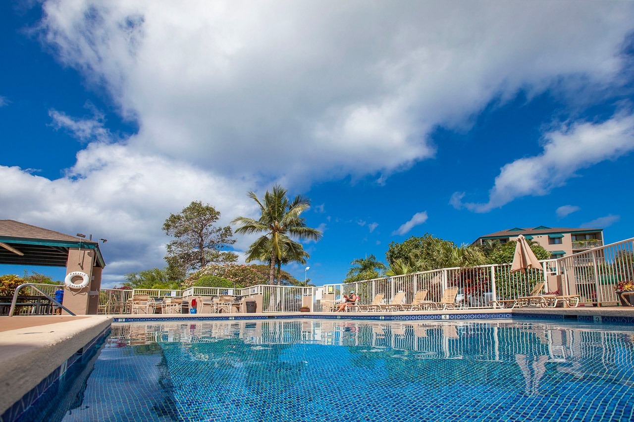 A sparkling pool area surrounded by tropical palms and blue skies creates the perfect backdrop for relaxation.