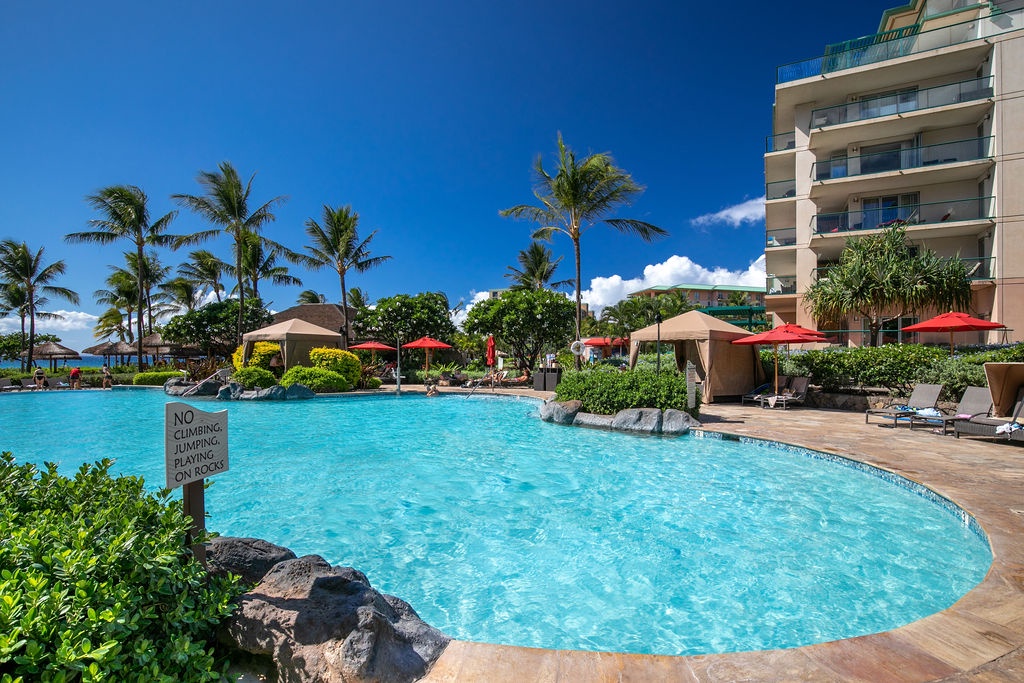Bask in the sunshine by the sparkling pool surrounded by swaying palms and tropical gardens.