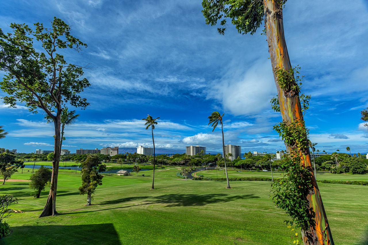 The property is located near a scenic golf course, surrounded by tropical palms, green fairways, and distant ocean views under vibrant blue skies.