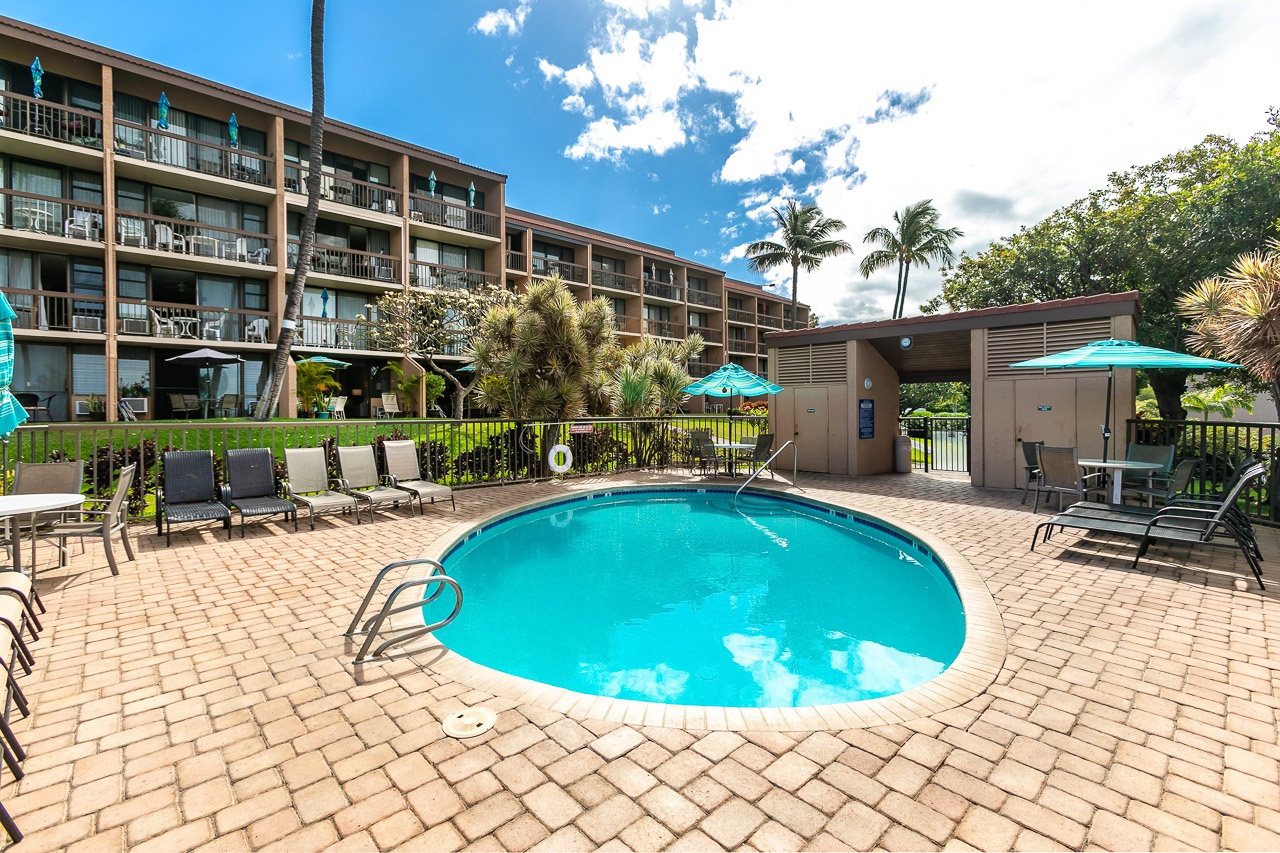 Tropical vibes and sparkling water await at Maui Vista