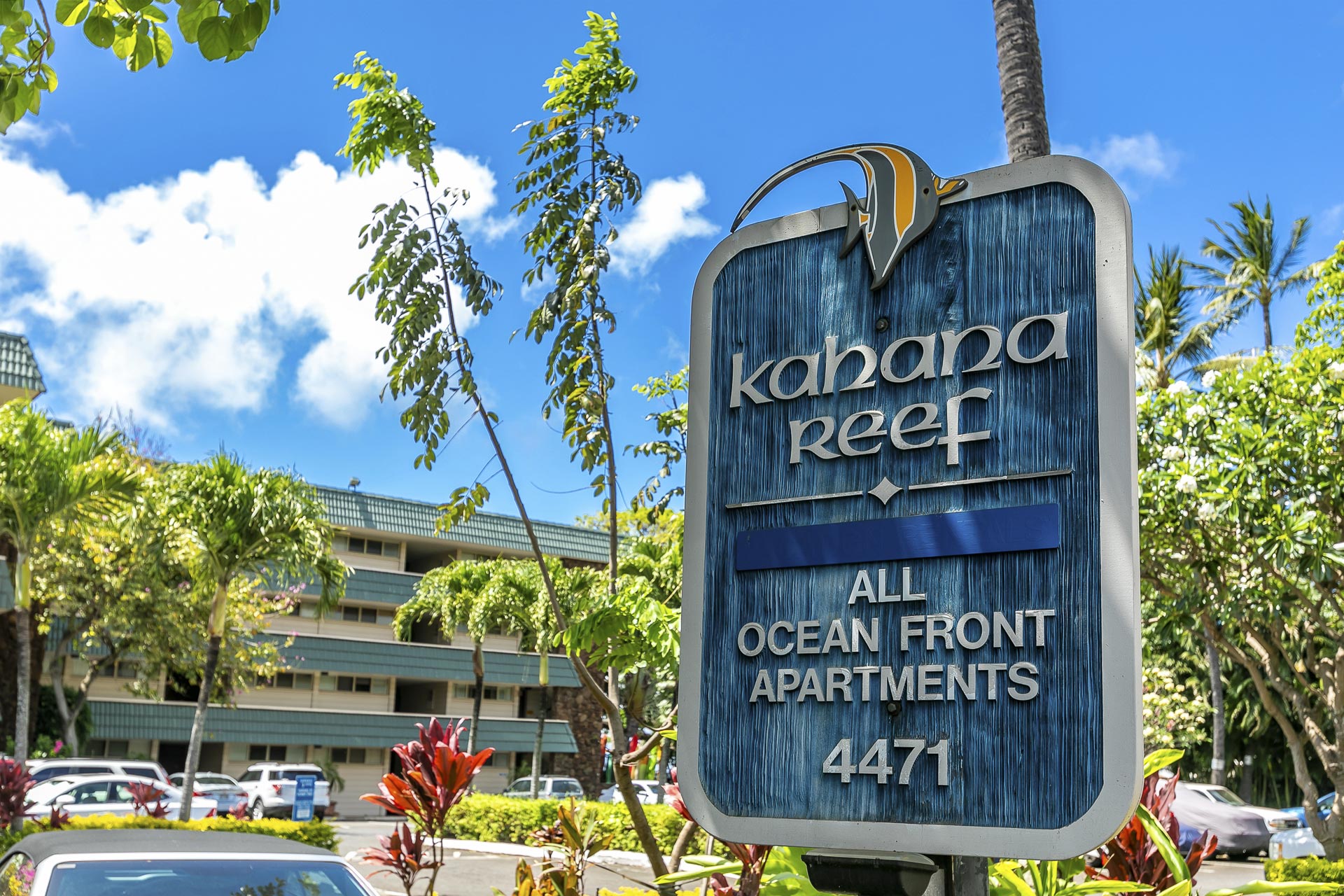 Welcome to Kahana Reef.
