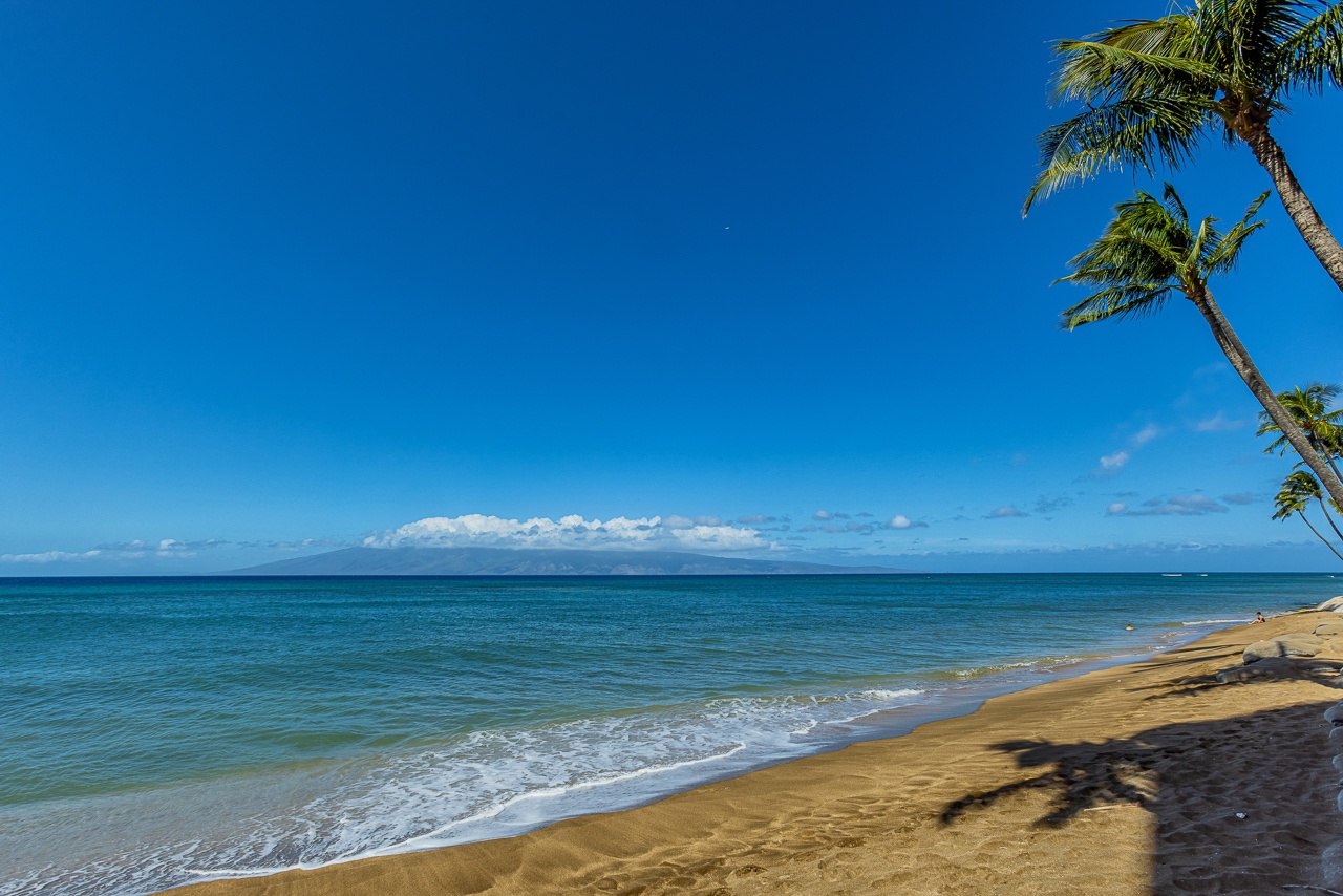 Picture-perfect Hawaiian beach located just steps from the property, framed by swaying palms and warm turquoise waters.