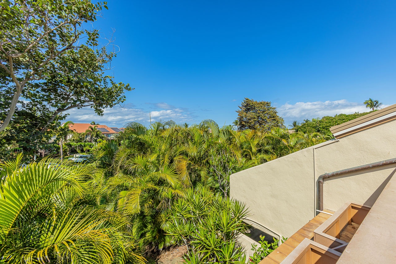 Lush tropical greenery surrounds the property, with palm trees and vibrant foliage framing distant mountain views under a brilliant blue sky.