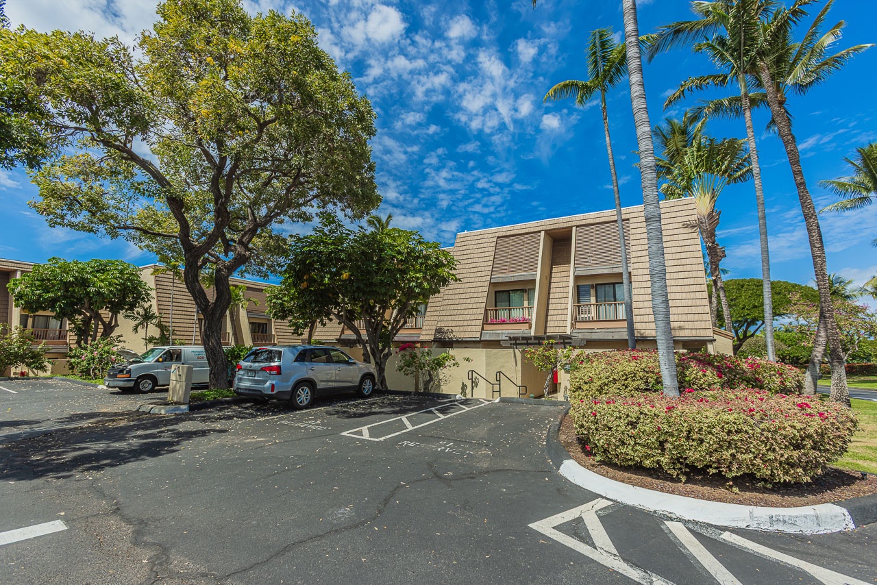 Tropical property with convenient parking beneath swaying palm trees and vibrant landscaping.