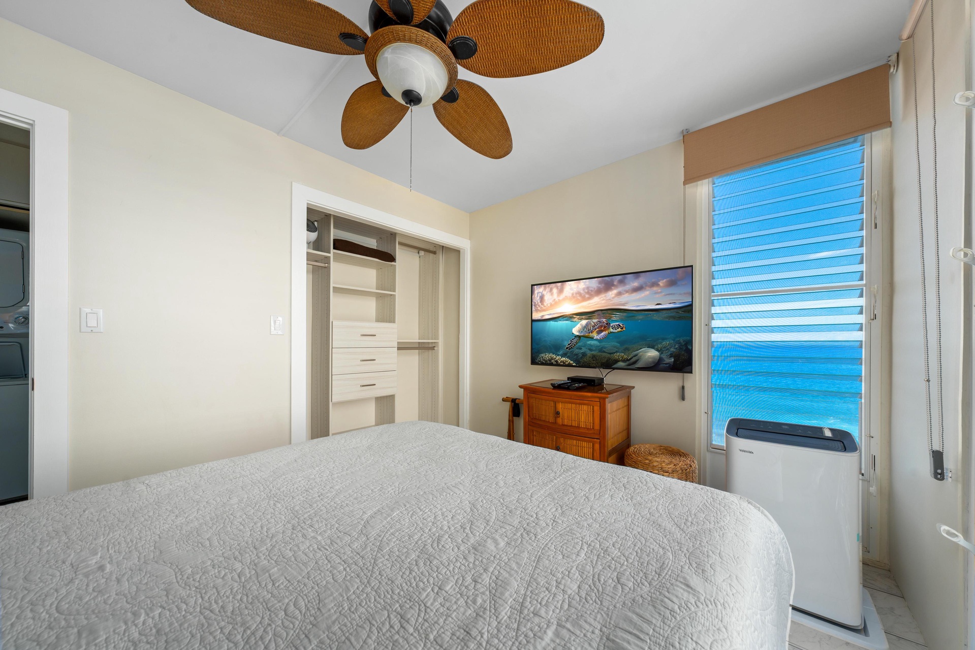 Stream your favorite television shows