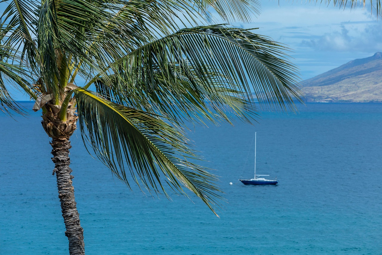 Sun kissed shoreline with easy island vibes