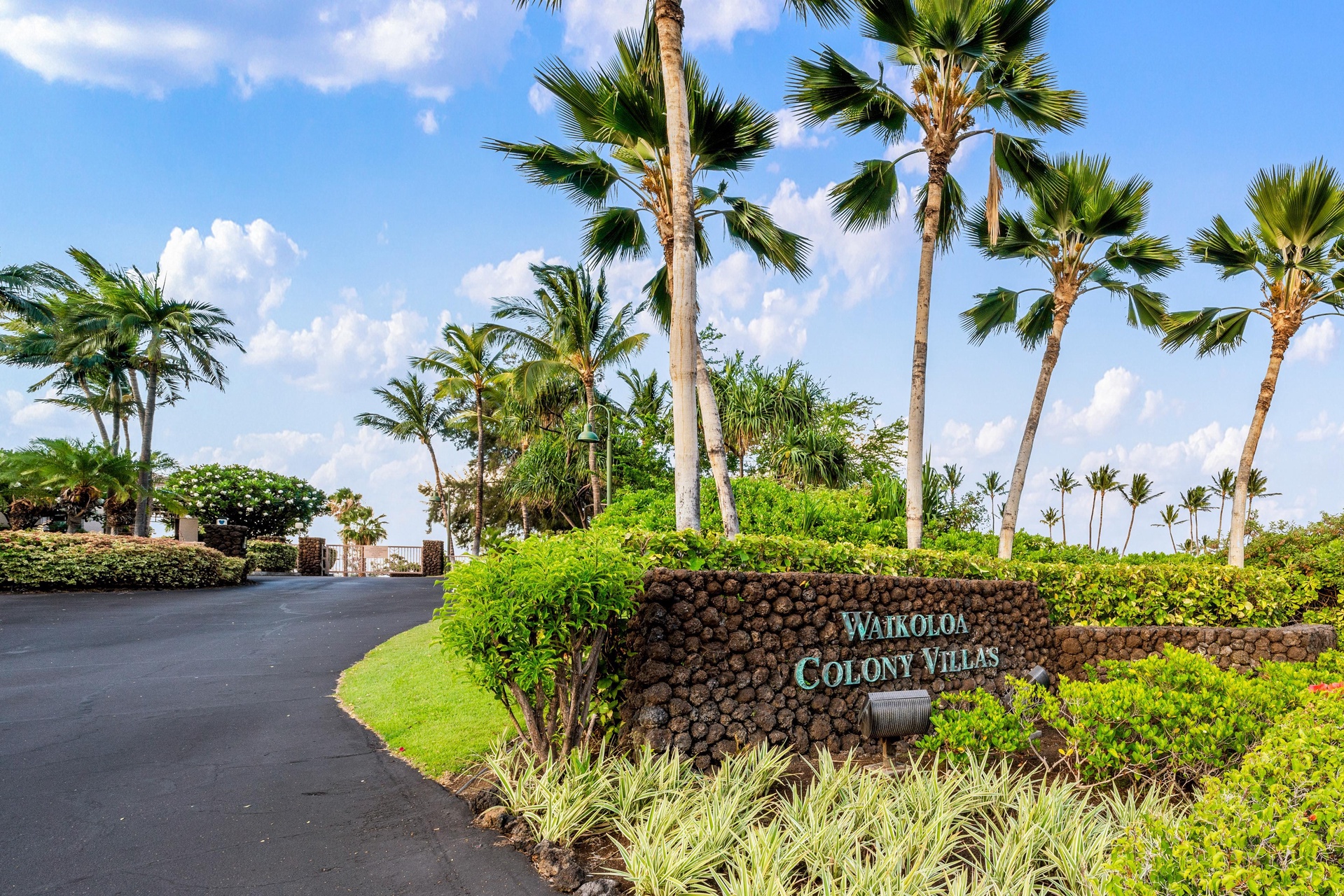 Welcome to Colony Villas