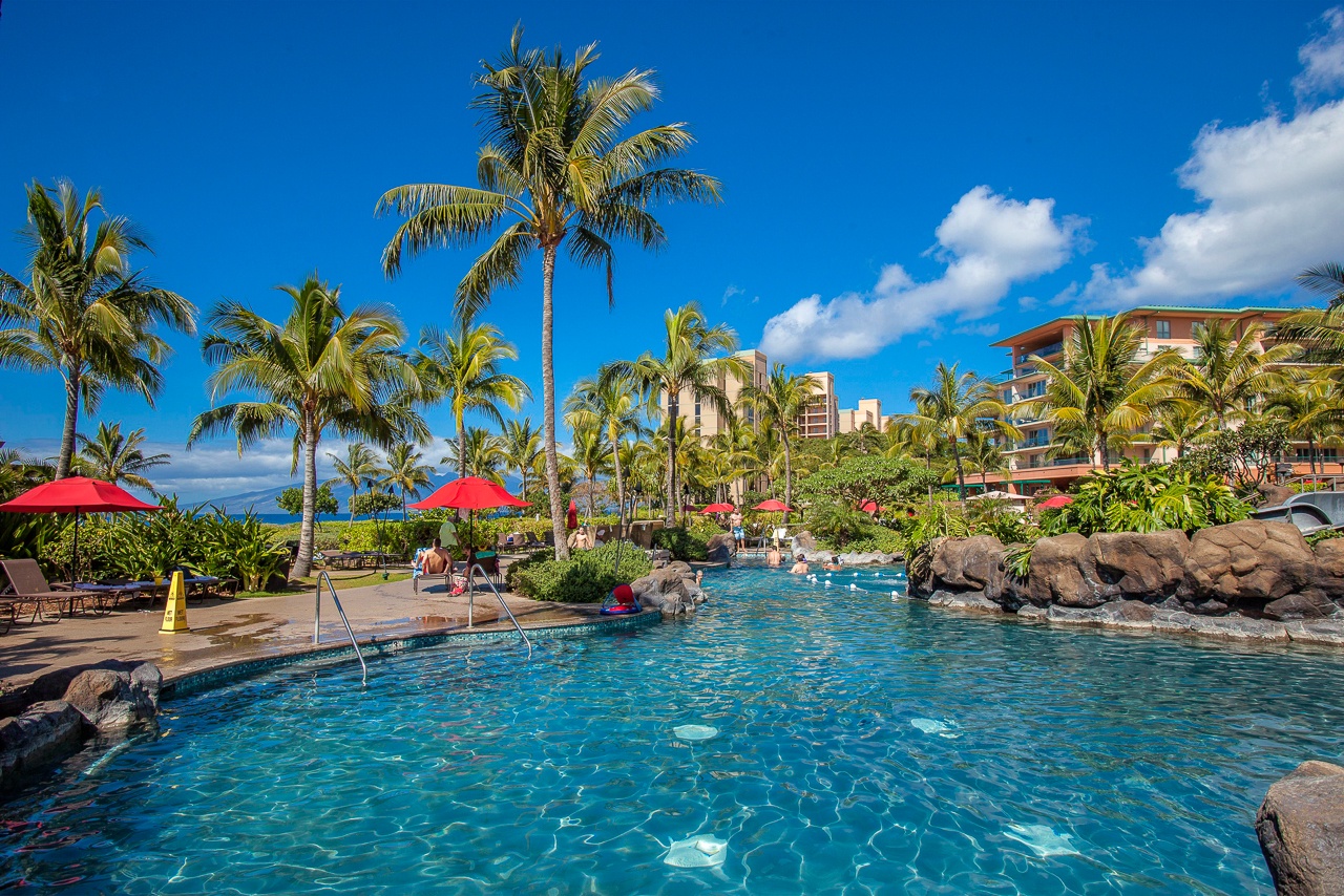 Tropical pool surrounded by palms and lava rocks under clear blue skies—perfect for a refreshing swim or lounging poolside in paradise.