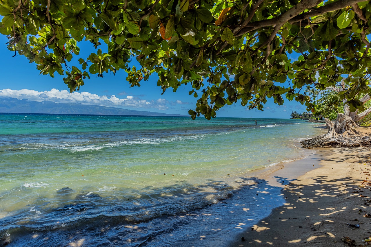 Soft waves lap a quiet sandy shore, framed by tropical foliage and turquoise waters that stretch to distant mountains—a serene slice of paradise close by.