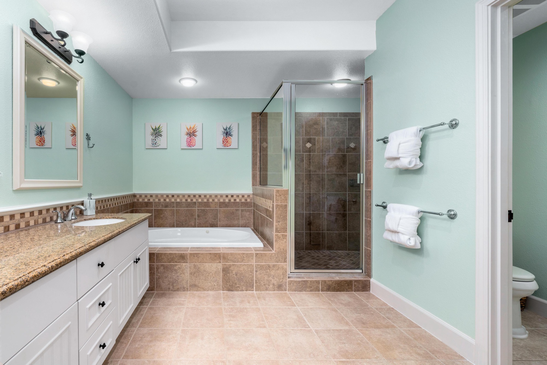 Walk in shower with separate bath tub