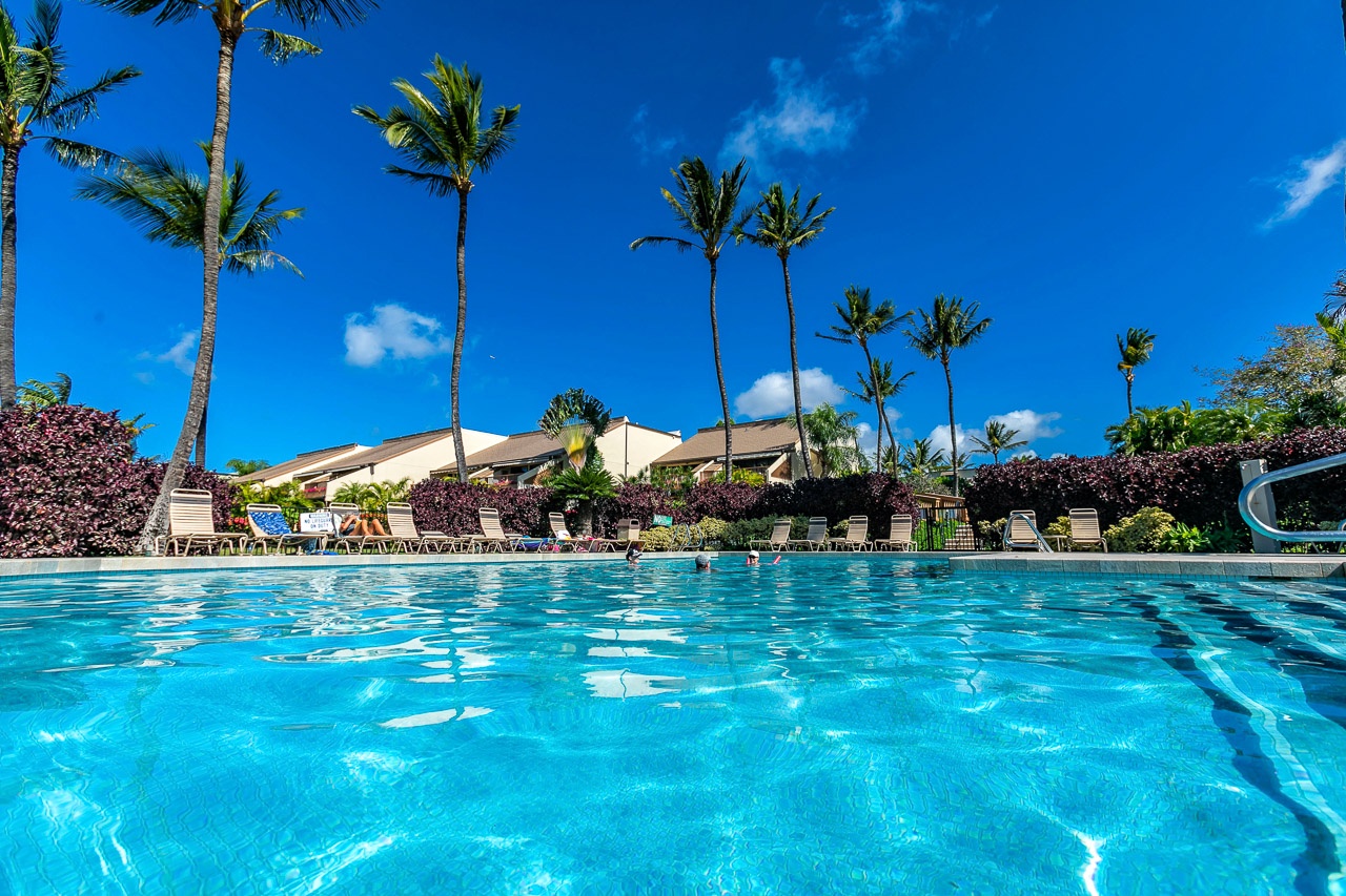 Stunning tropical resort pool surrounded by swaying palms and lush landscaping under brilliant blue skies.