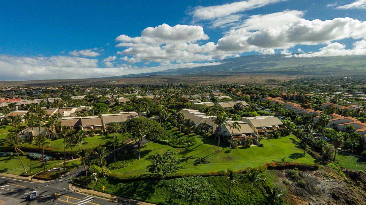 Aerial view of tropical residential area with lush greenery, palm trees, and mountains in the distance.