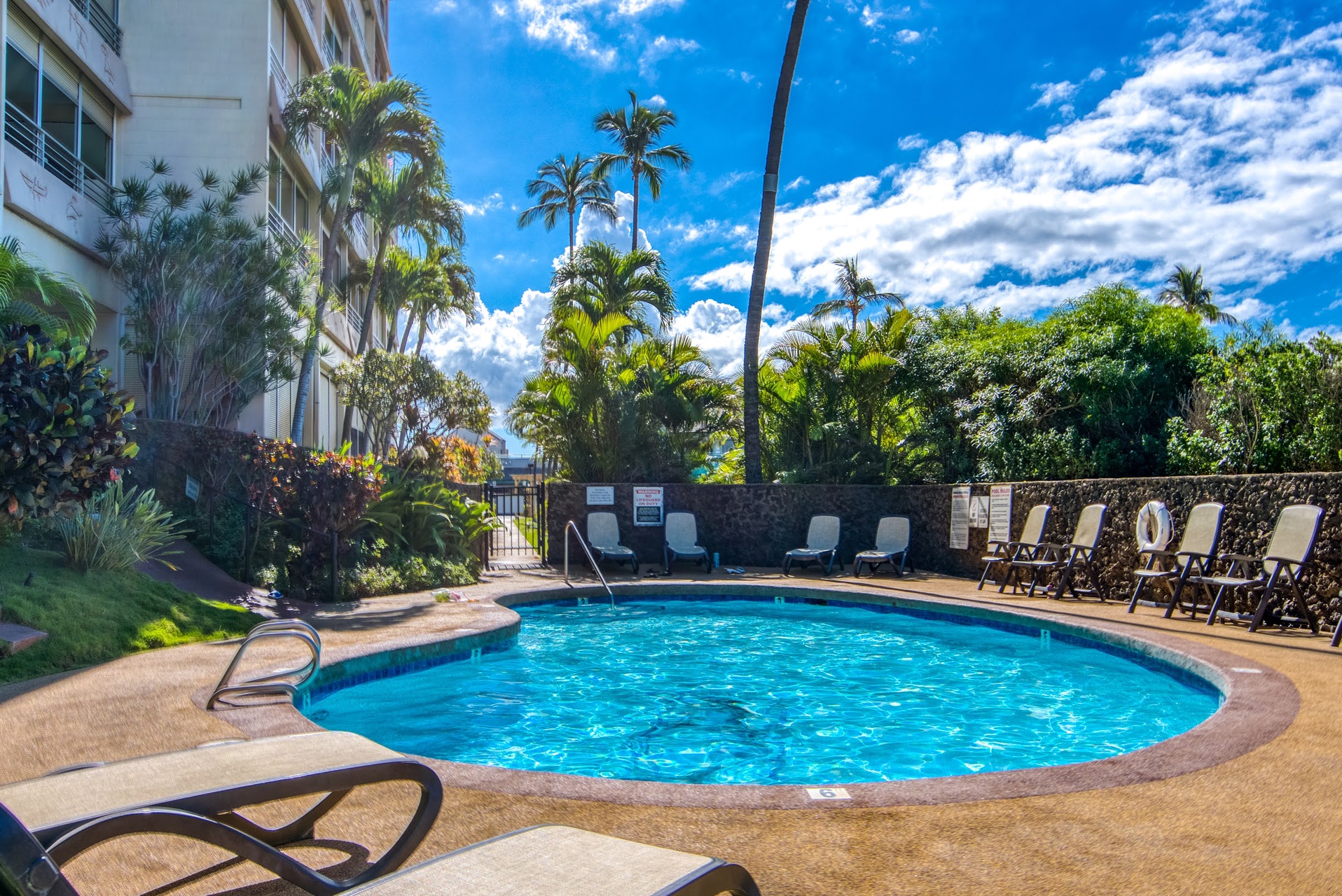 The property features a refreshing outdoor swimming pool surrounded by palm trees, lounge chairs, and lush tropical landscaping under bright blue skies.