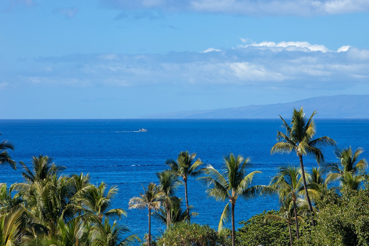 A stunning coastal setting framed by swaying palms and endless ocean views. Breathe in the tropical air and let the vibrant blue water soothe your spirit.
