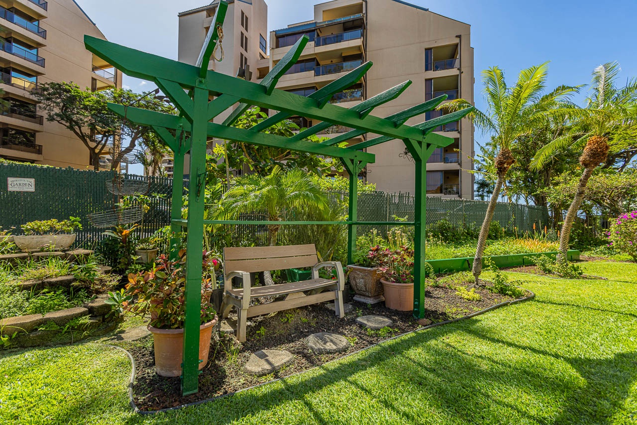The property features a lush tropical garden with shaded seating areas surrounded by palm trees, manicured lawns, and vibrant plantings—a serene outdoor space to relax and enjoy the sunshine.