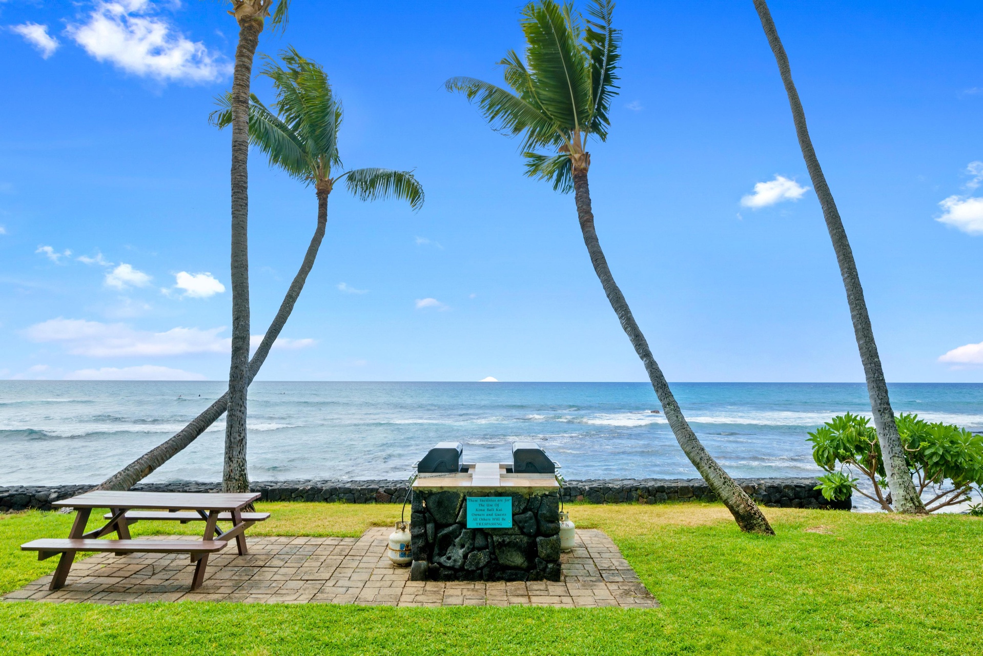 Oceanfront property featuring a private BBQ area and picnic table beneath swaying palms, with direct beach access and stunning sea views across the Pacific.