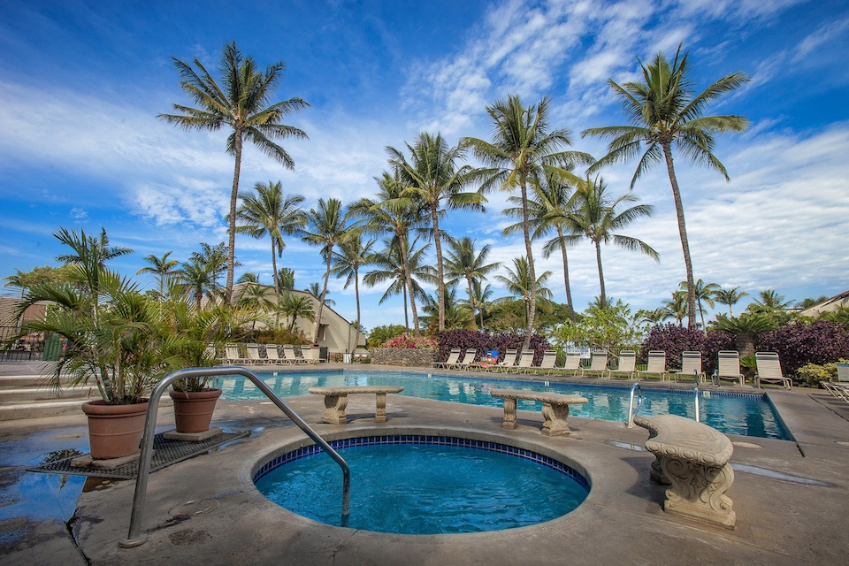 Tropical paradise awaits with pristine pools surrounded by swaying palms and blue skies—your perfect escape to relaxation.